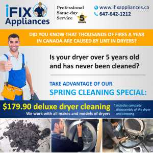 professional lint cleaning special discount